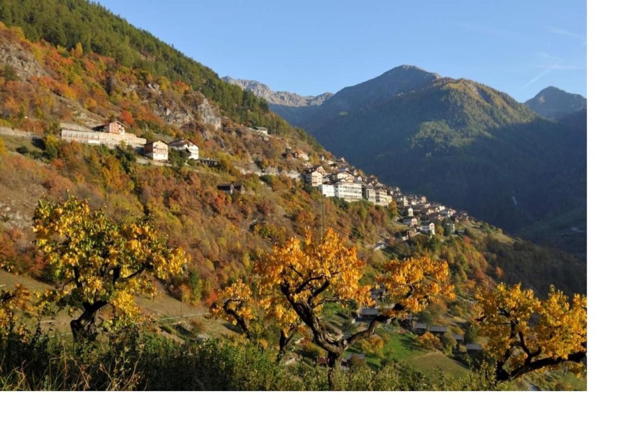 Le Cocon Du Catogne Proche Martigny Verbier - Netflix - Valettes المظهر الخارجي الصورة