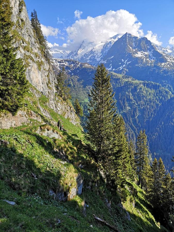 Le Cocon Du Catogne Proche Martigny Verbier - Netflix - Valettes المظهر الخارجي الصورة